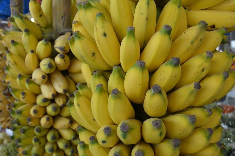 La banane, fruit miracle après le sport ?
