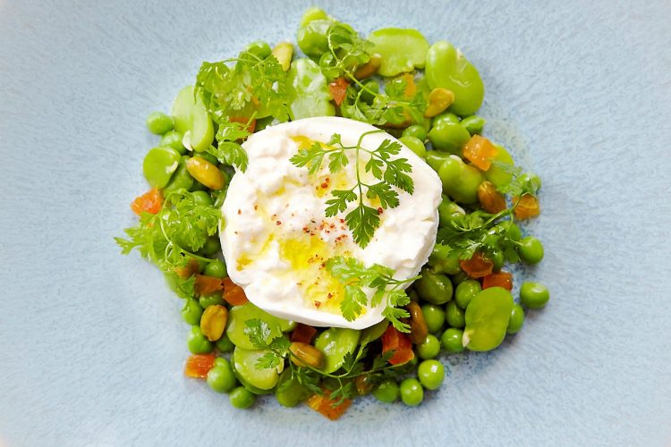 Burrata di bufala, salade de petits pois et fèves aux abricots secs