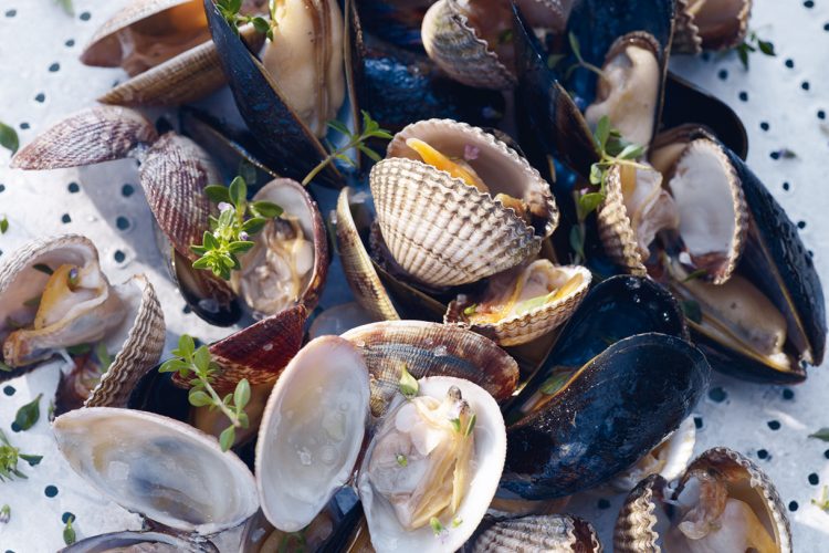 Coquillages à la « brûle-doigts »