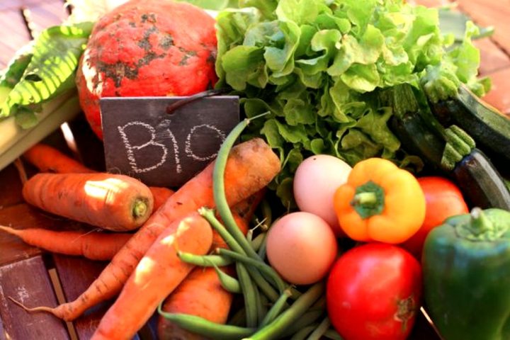 Quels sont les véritables bénéfices du « manger bio » pour la santé ?