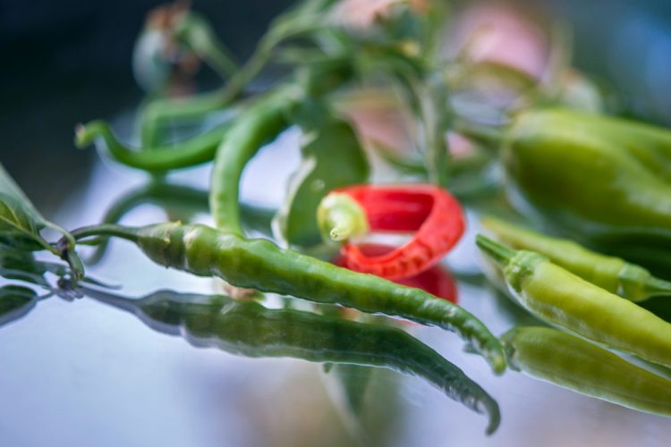 Recette jalapeno poppers