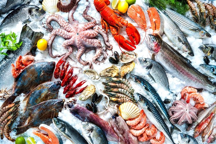 Les fruits de mer, alliés de votre mémoire