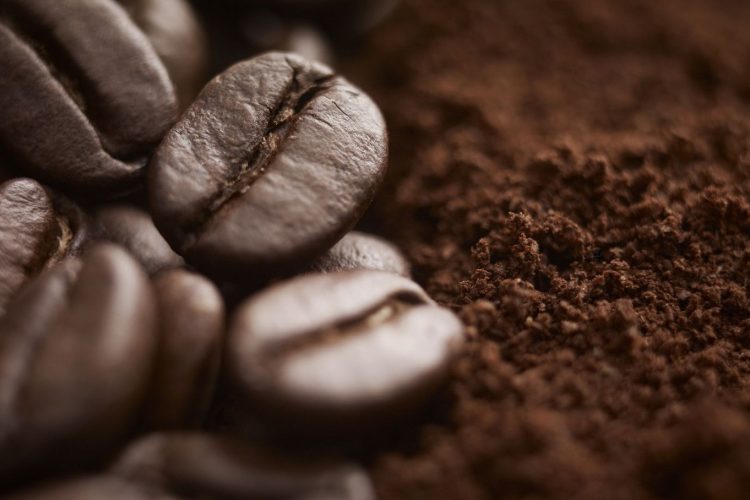 Le marc de café, trésor du jardinier écolo !