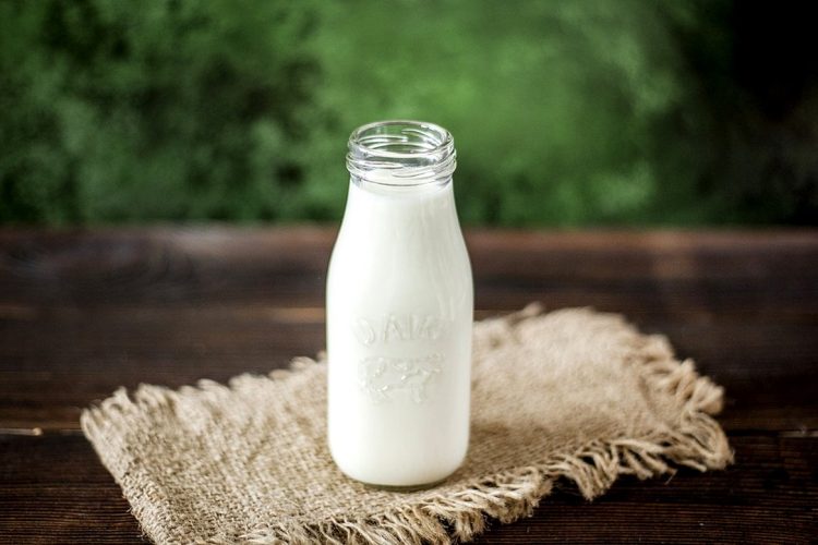 Ecrémé, entier ou demi-écrémé : quel lait pour quels bienfaits ?