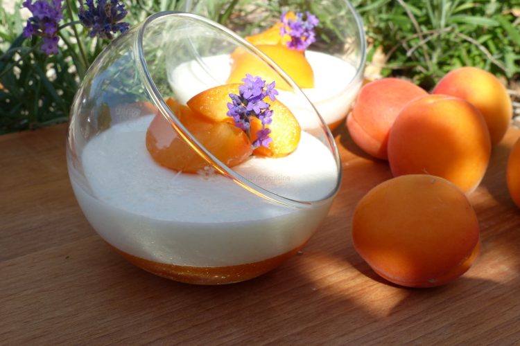 Mousse aux abricots