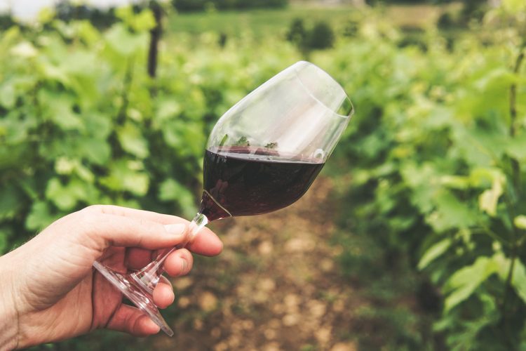 Les Vins Edmond de Rothschild, des vins d’exception à découvrir