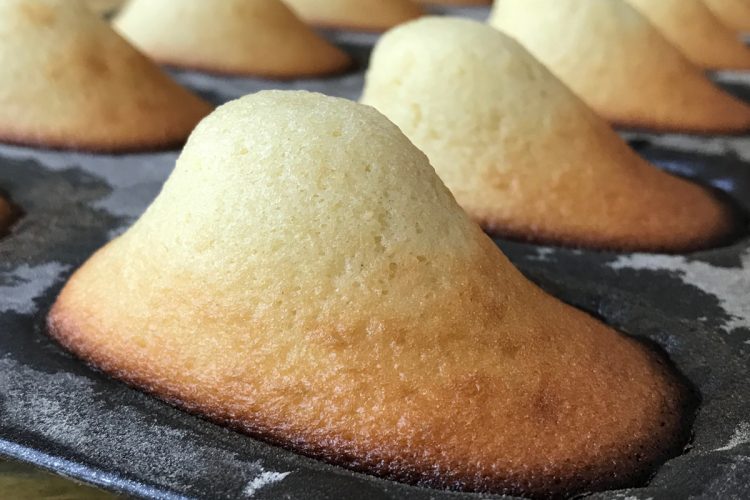 Recette madeleine au Compact Cook Elite