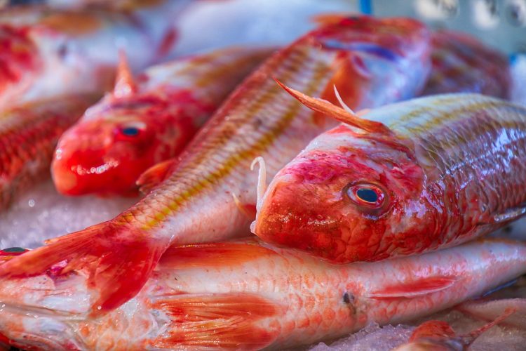 Recette filets de rougets au basilic