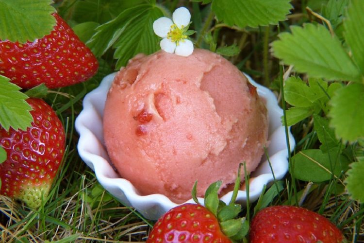 Journée recette Thermomix : sorbet à la fraise