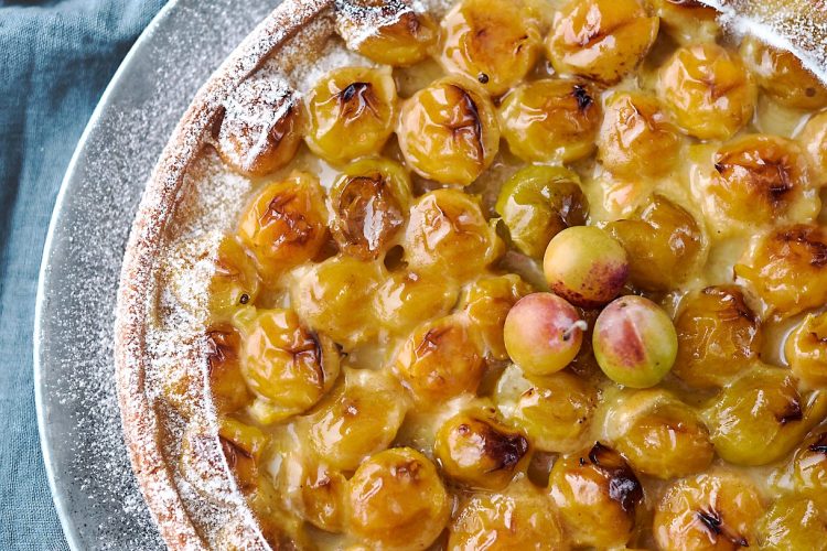 Tarte sablée aux mirabelles