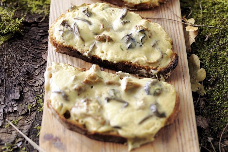 Tartines aux champignons