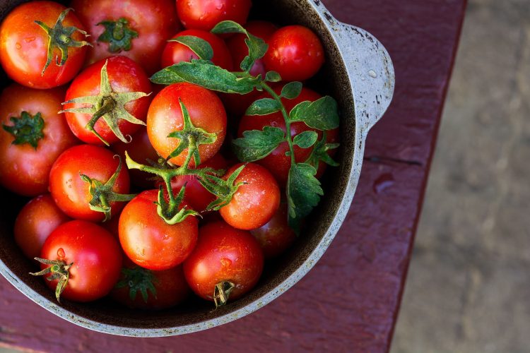 Top 6 des bienfaits méconnus de la tomate