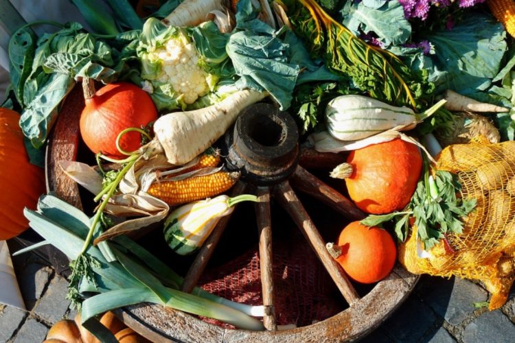 Que faut-il manger pour bien nourrir son cerveau ?