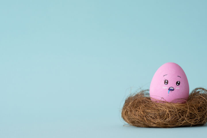 Où acheter des œufs de Pâques en chocolat ?