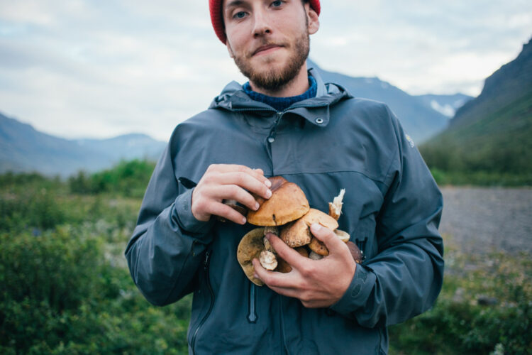 Champignons de printemps, préparez-vous à la récolte