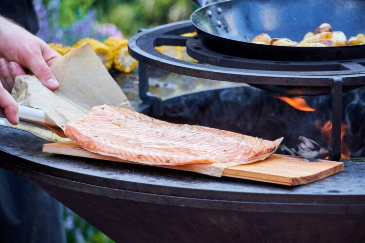 Barbecue et plancha : le match !