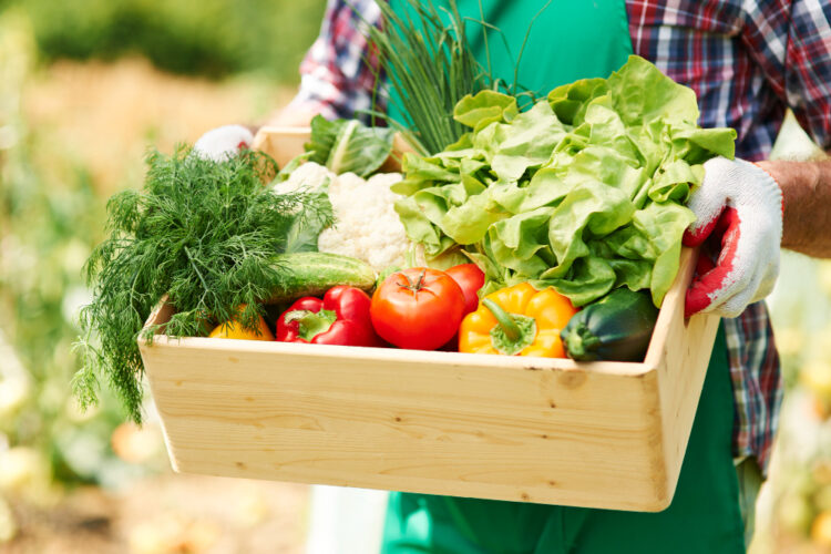 Préparer ses légumes à l’avance : lesquels peut-on couper et conserver ?