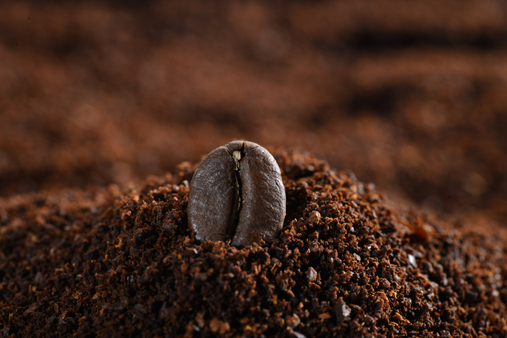 du café moulu avec un grain de café