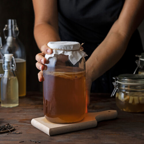 Kambucha boisson fermentée