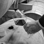 Tout savoir sur l’appellation Pomerol : terroirs, cépages et millésimes à privilégier