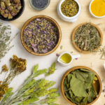 Les plantes aromatiques et la phytothérapie : quand saveur et bien-être se rencontrent